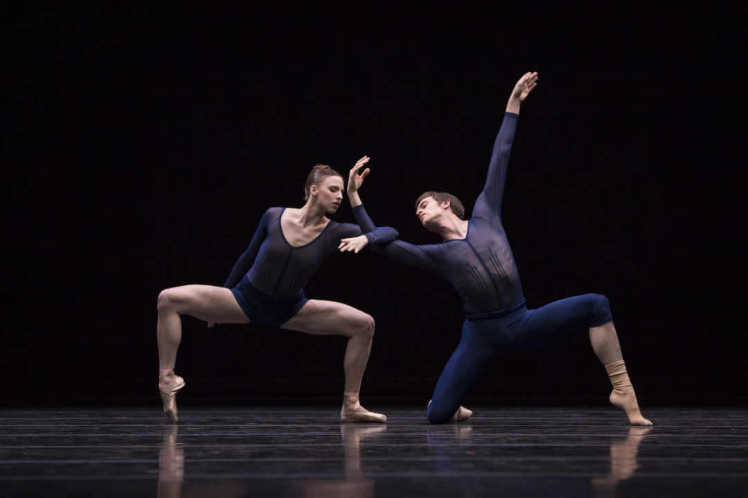 Pnb director 2017 yazctk
