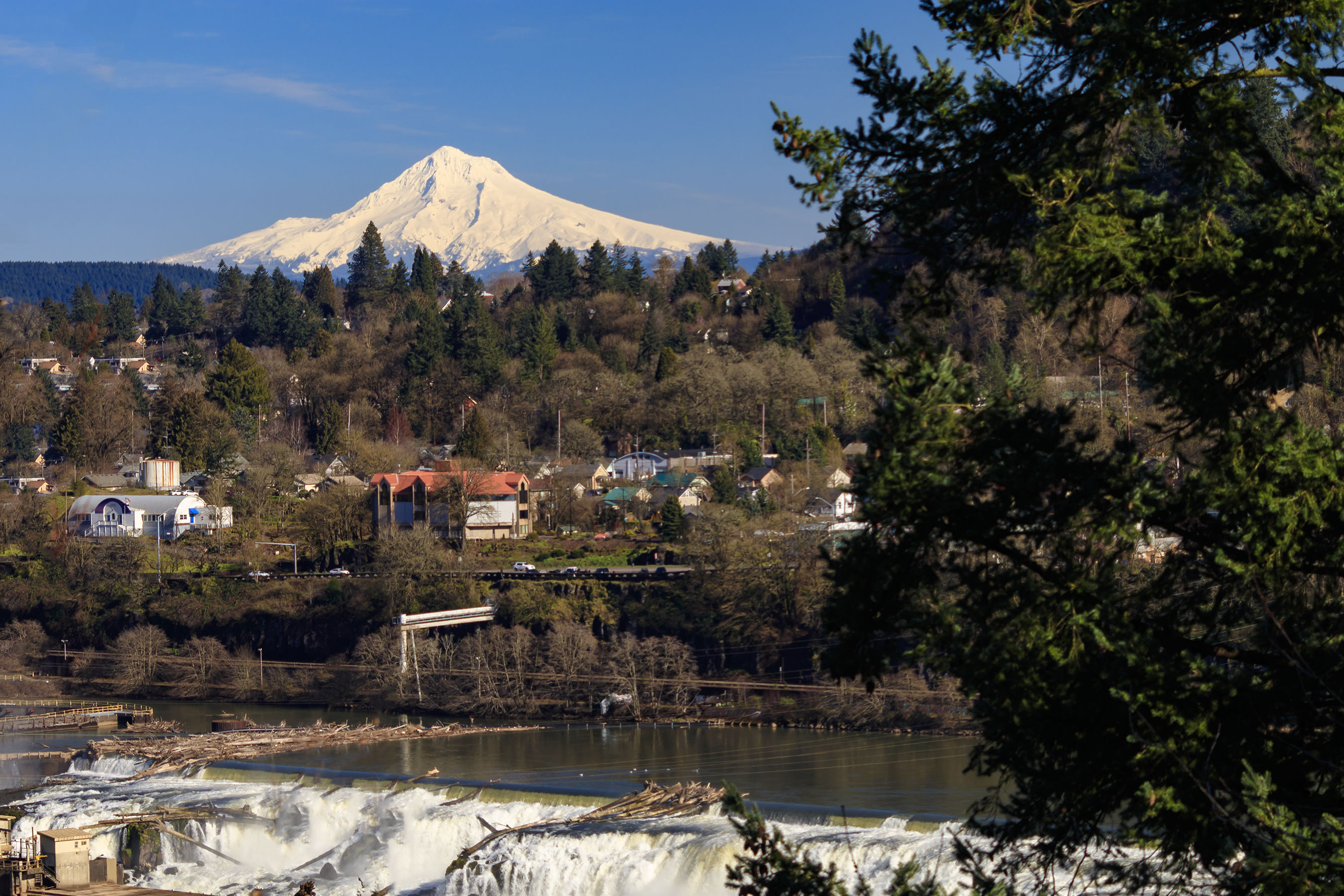 trip report oregon