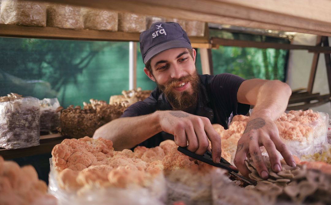 Gulf coast mushrooms hoyzwr