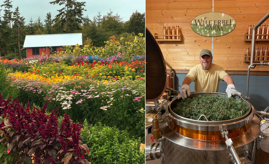 An Idyllic Farm and Meadery that Takes Being Chill Significantly 4 Flower field distiller nim5aw