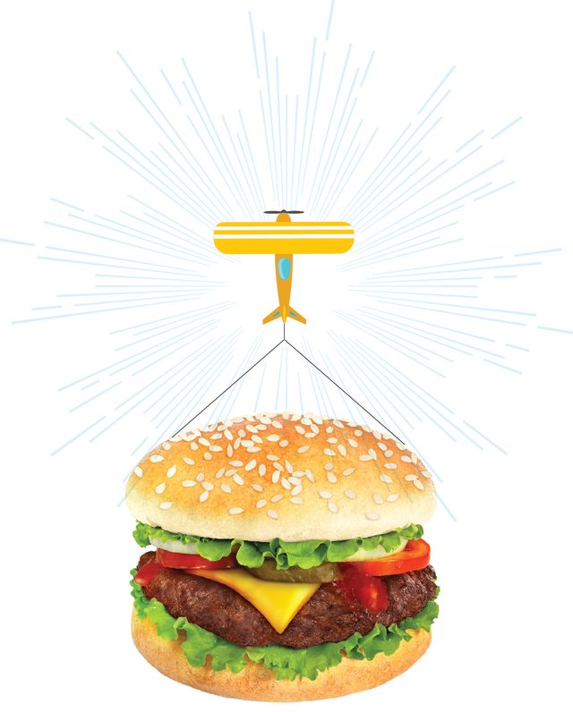 The $100 Hamburger Run: A Plane Ride with the Works | Houstonia Magazine