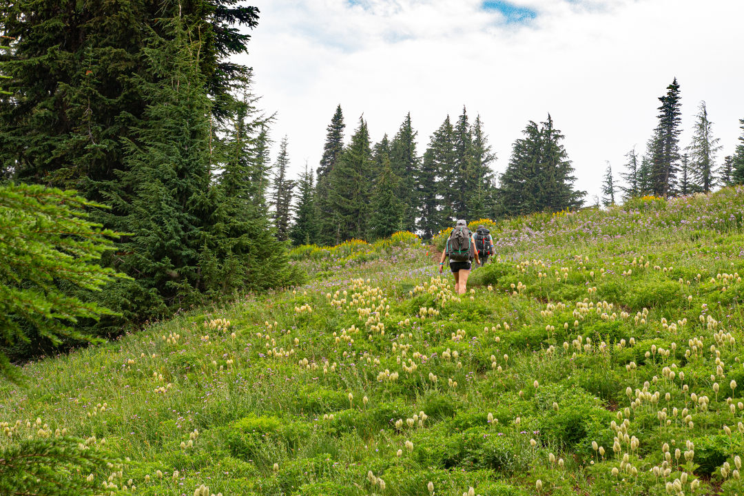 New Trails at Mt. Hood Meadows Have Officially Opened Portland Monthly