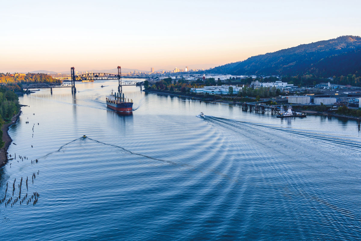 Running the Numbers on the Willamette River - Vimarsana News
