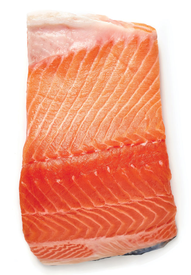 1017 salmon filet tih63e