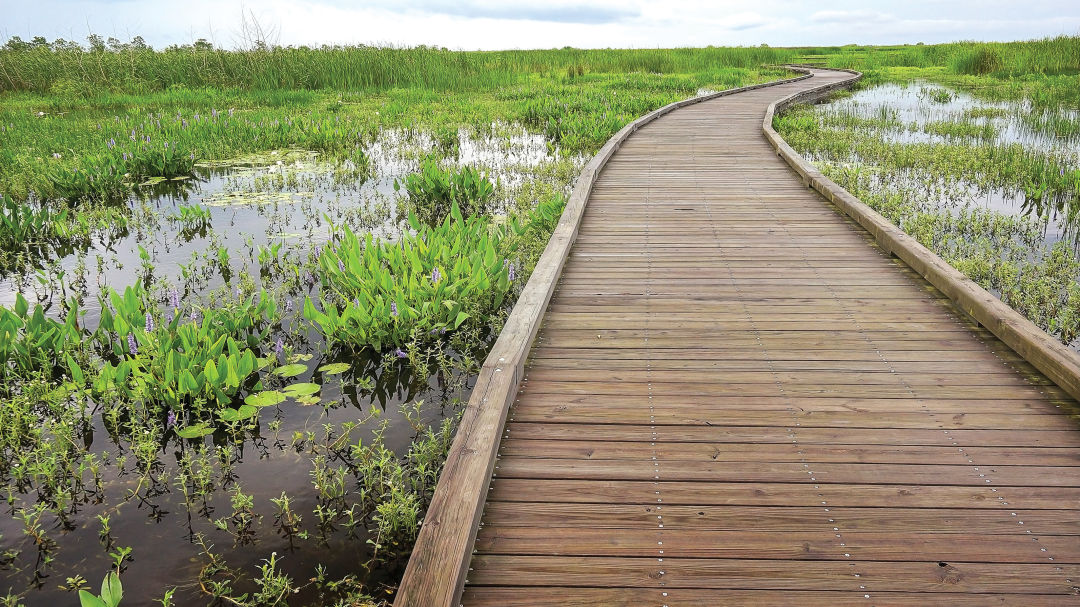 1118 lake charles pintail wildlife trail vj8uxx