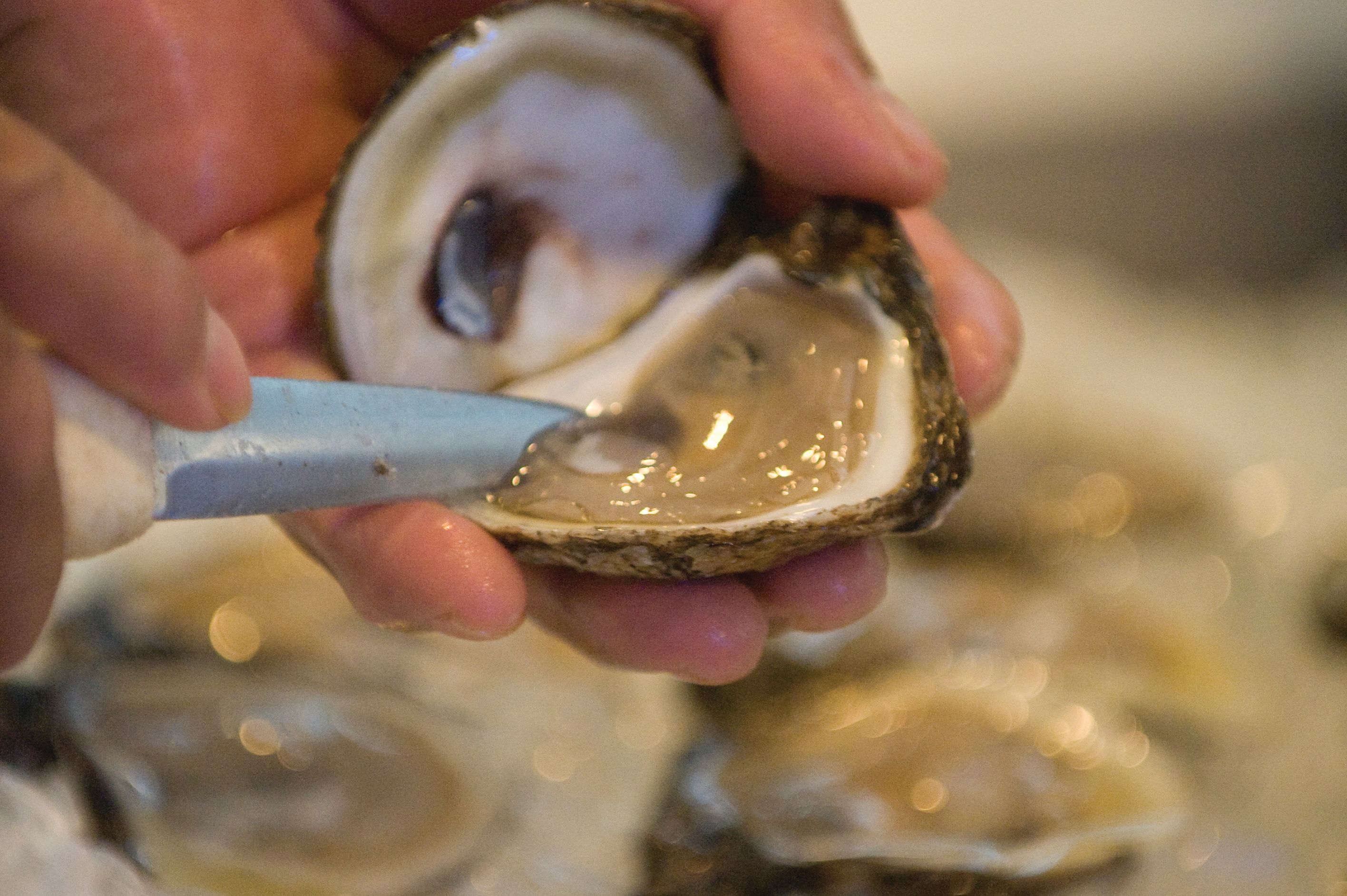 Catch of the Day Houston’s 7 Best Seafood Markets Houstonia