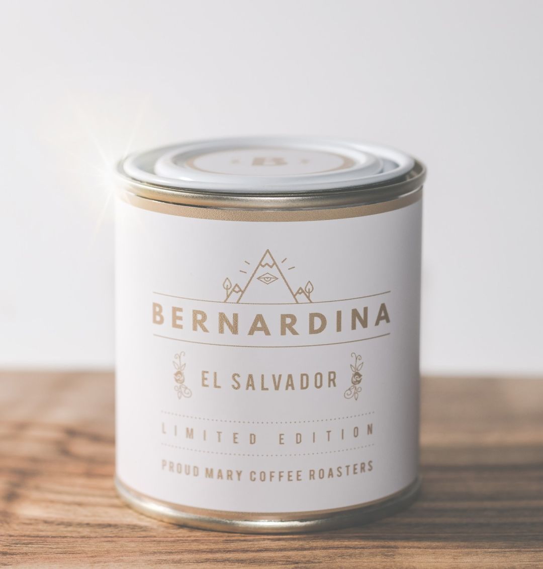 Bernadina proud mary vmd92a