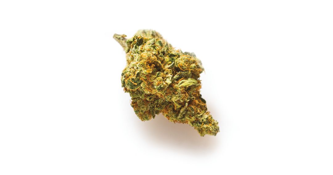 Pomo 0916 nugs green bodhi ddkjhc