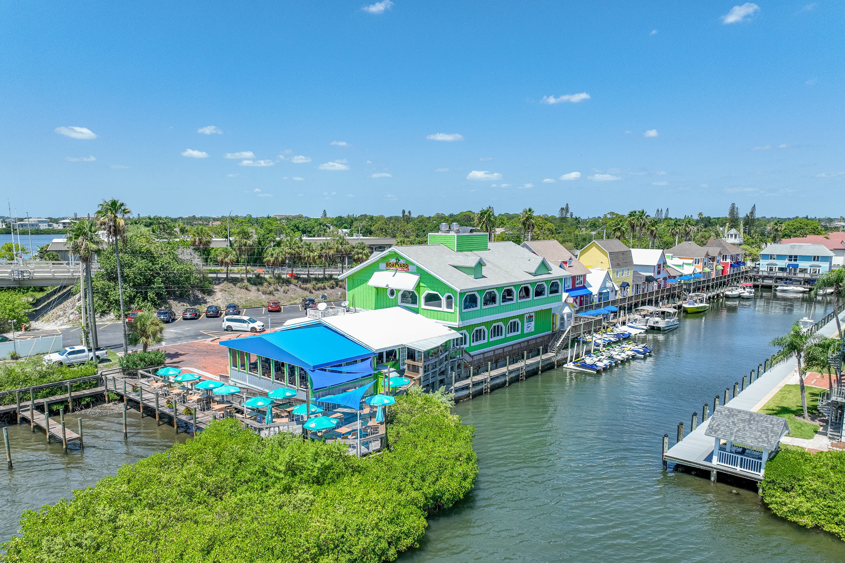 dolphin tour sarasota