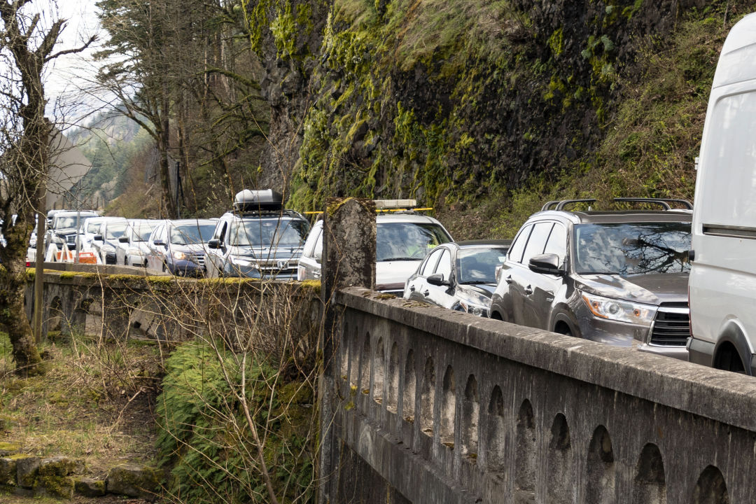 A line of cars on a moss-lined two-lane road in the woods