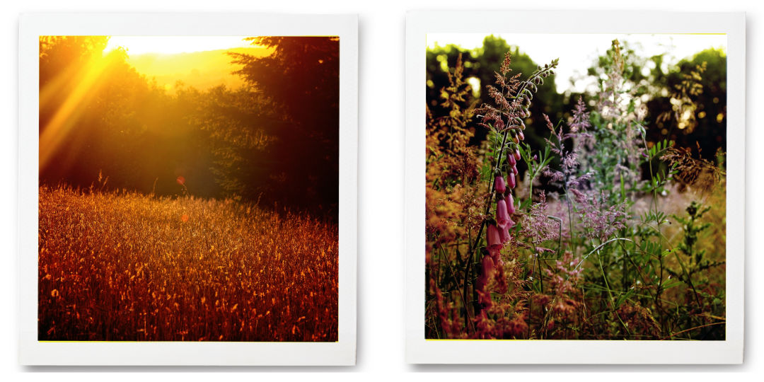 0318 field notes hogan butte collage hiraig