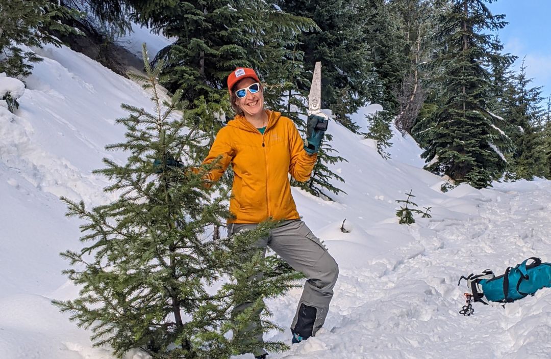 How one can Minimize Down a Christmas Tree within the Woods 2 self cut christmas tree awilliams ogmfaq