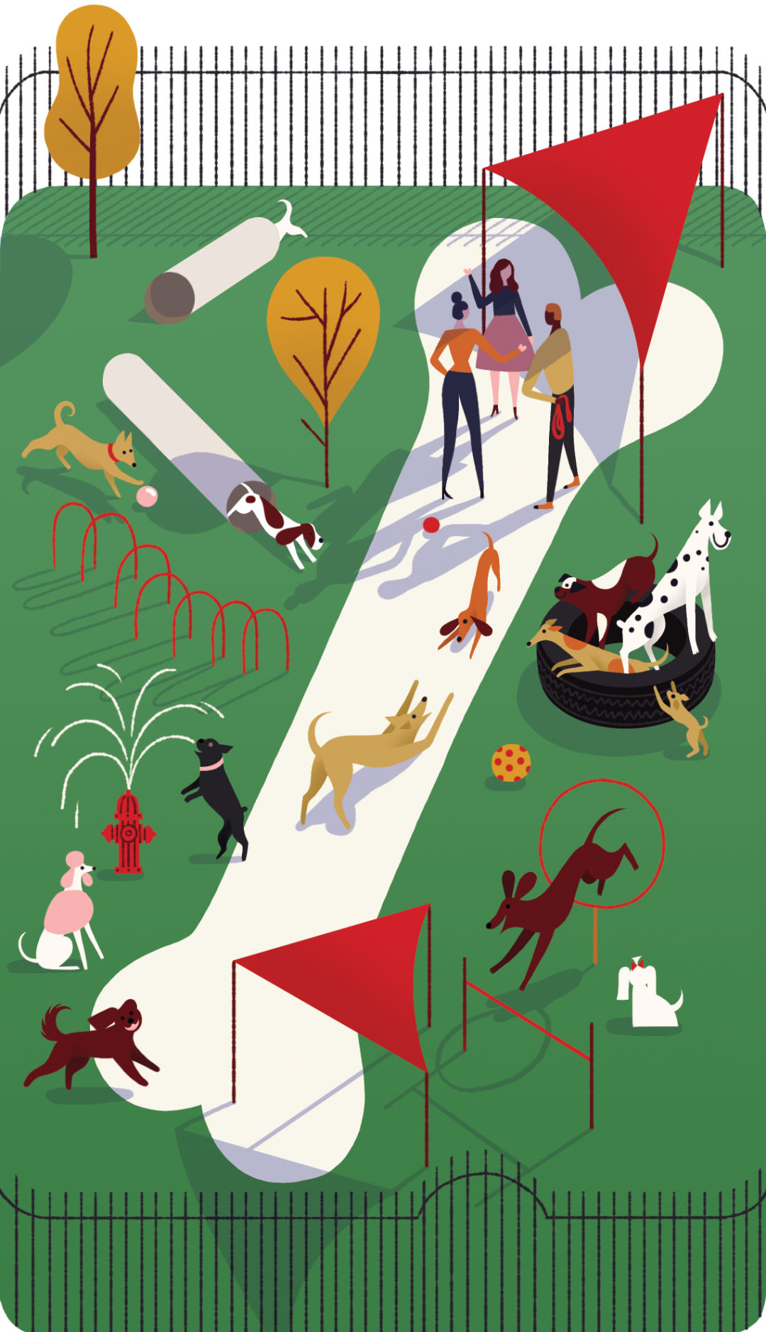 Pomo 0217 pets dog park illustration ie4k9z