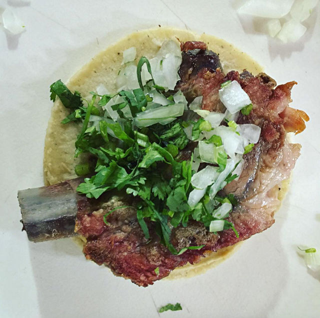 Tacosprovidencia ybwjil