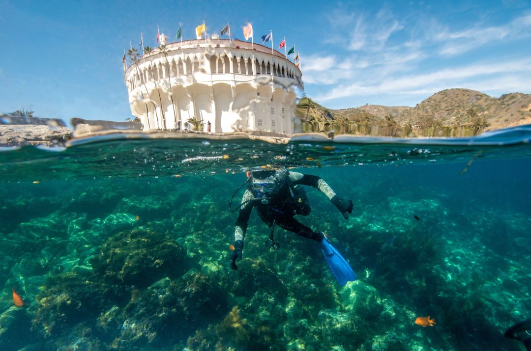 Catalina Island Is Dreamy. Particularly When You Get Out of City 4 scuba diver catalina island Brent Barnes shutterstock 1613454634 knjmap