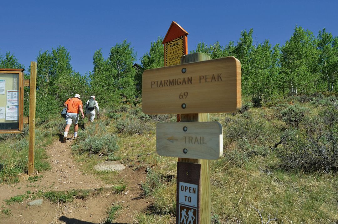 Cosu summer 2012 spotlight ptarmigan peak rmikb0