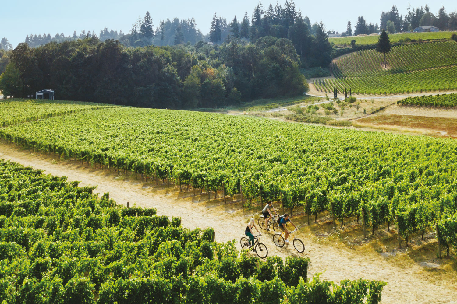 A Wine Country Bike Trip In Oregon S Eola Amity Hills Portland Monthly