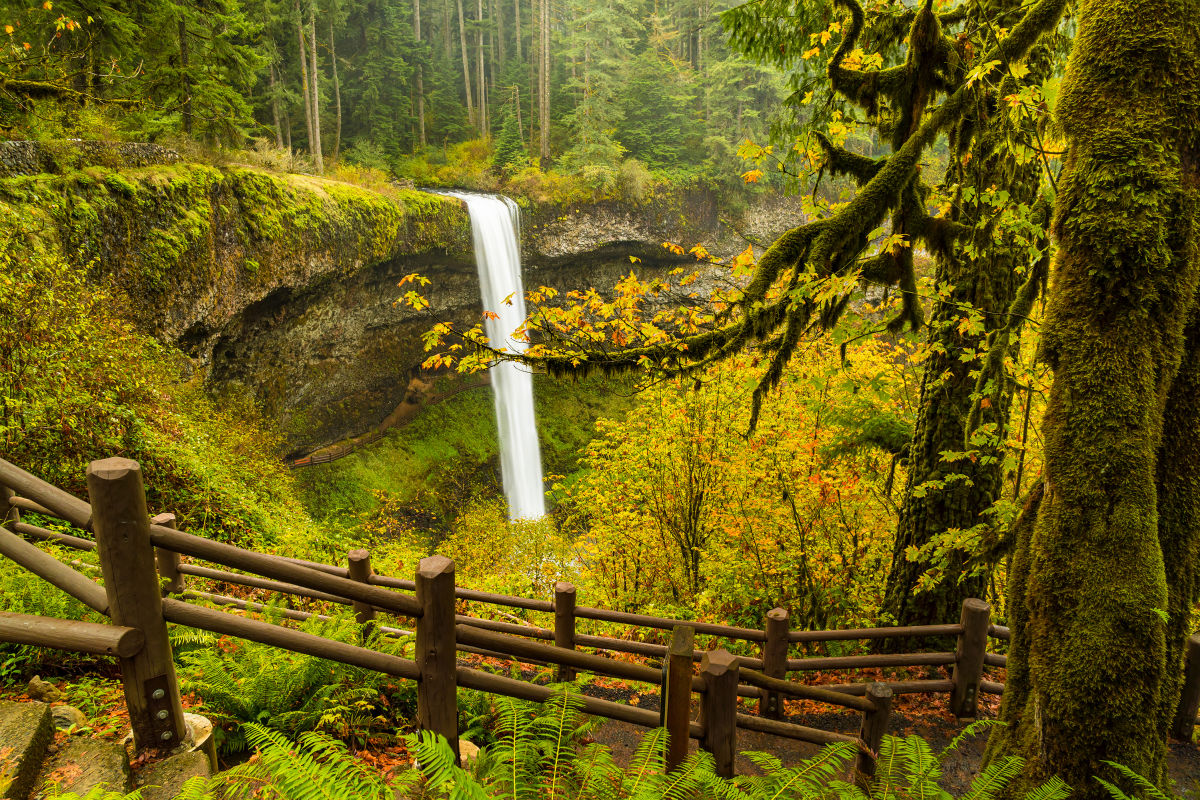 The Best Fall Hikes in and near Portland