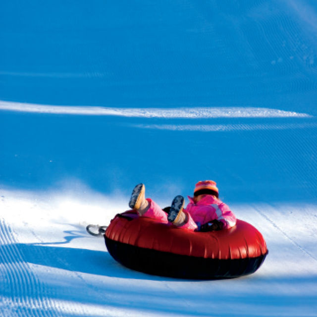Park city winter 2013 whats your sign sledding rk0sxt