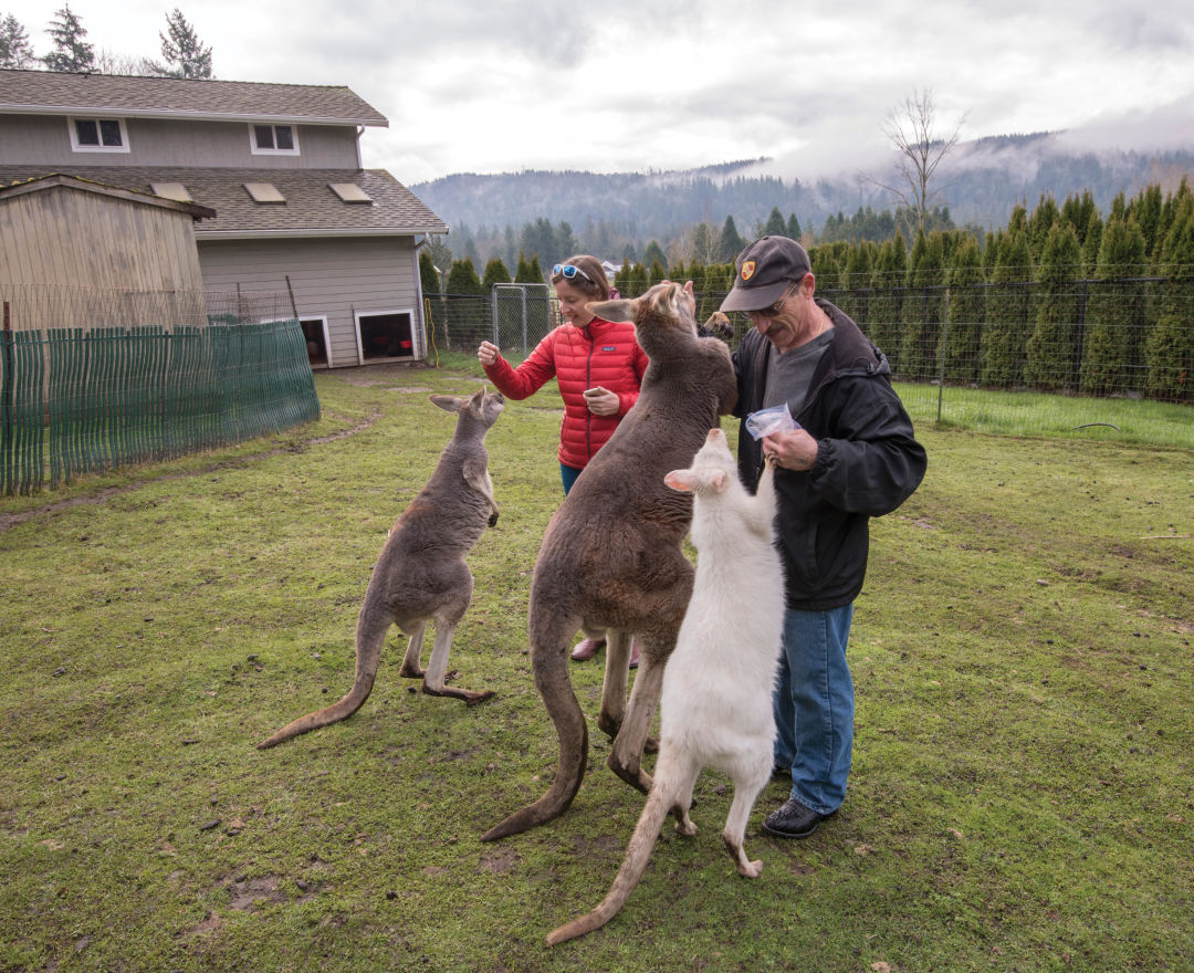 day trips from seattle ferry