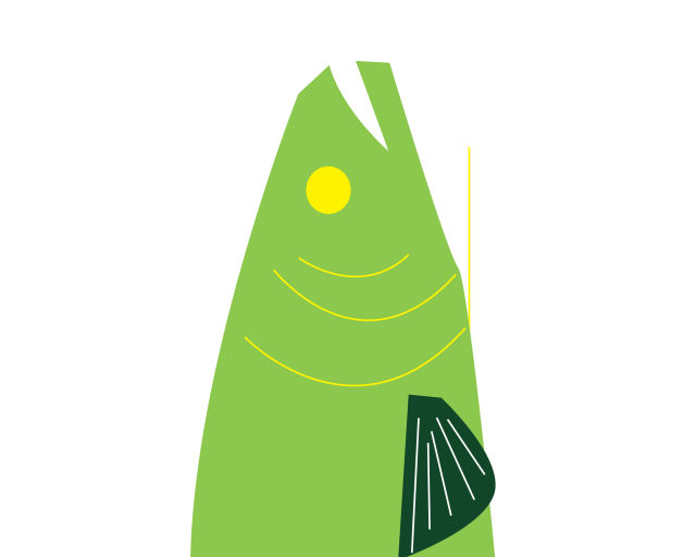 Pomo 0616 camping campfire trout kw2pjq