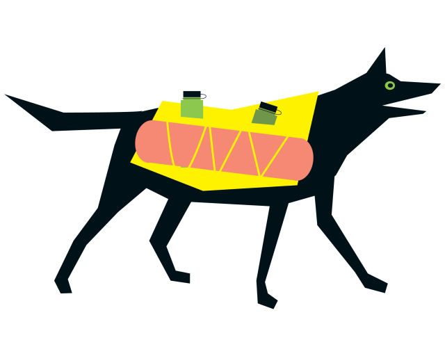 Pomo 0616 camping dog ckifpw