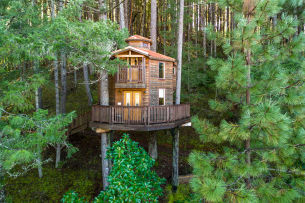 This Ain't Your Typical Treehouse | Portland Monthly This Ain't Your Typical Treehouse | Portland Monthly