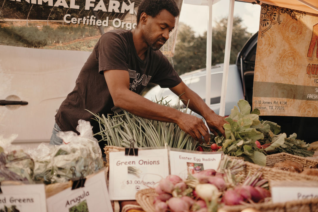 0218 rice farmers market 2 jvgyyb
