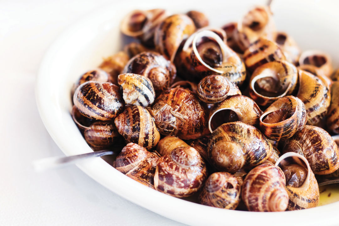 0417 crete travel feature snails fzrheg