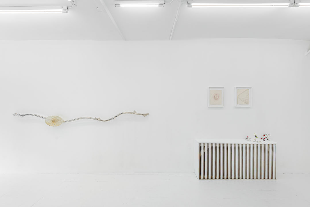 ILY2-fine-art-gallery-NY_xdsxjo What Portland’s First New York Art Gallery Means for the City