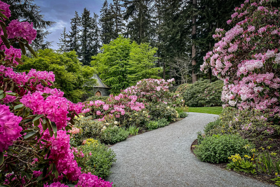 day trips from seattle ferry