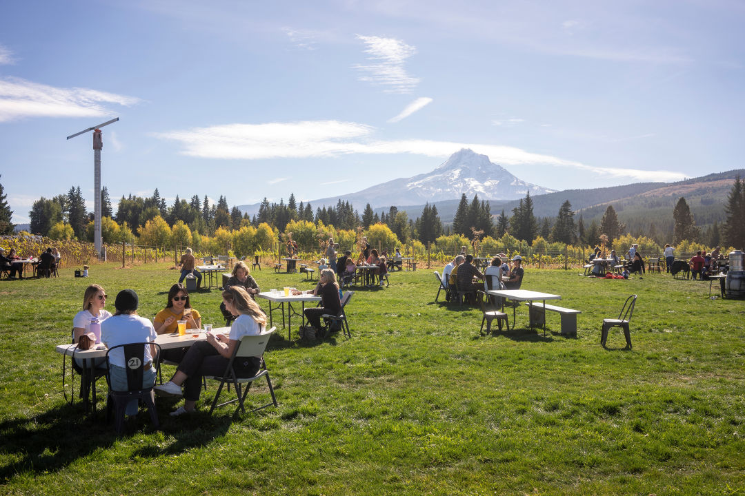 apple-picking-mt-view-orchards-fruit_2067803954_hjltch The Unofficial Guide to the Best U-Pick Apple Orchards near Portland