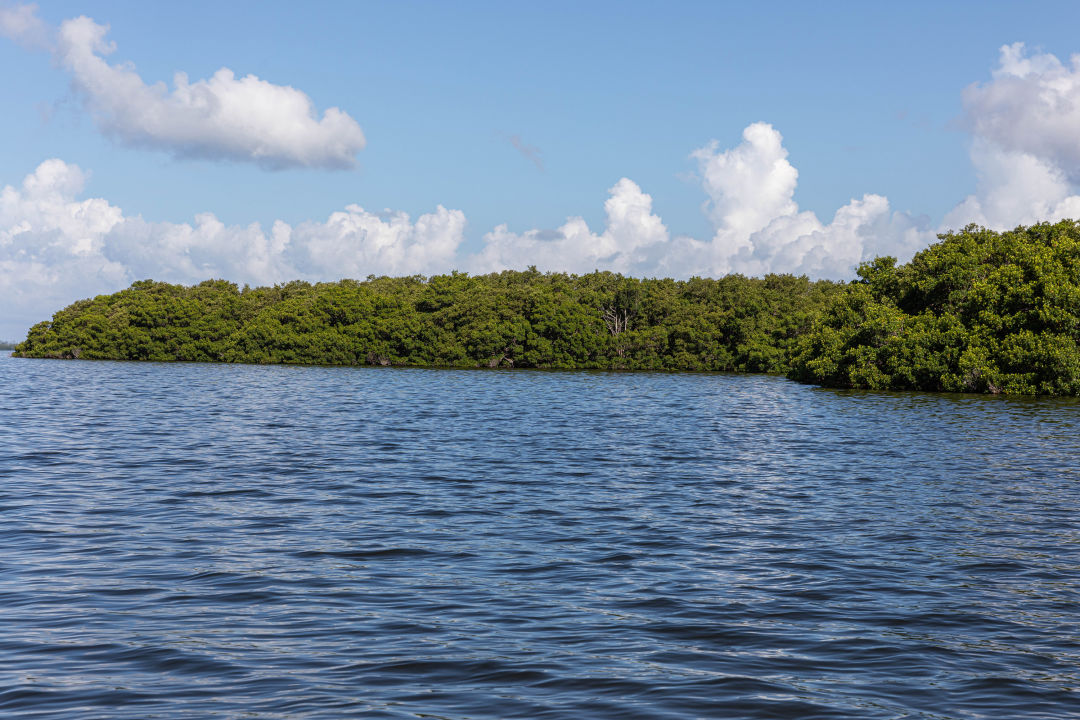 Tranquil blue waters in Sarasota Bay