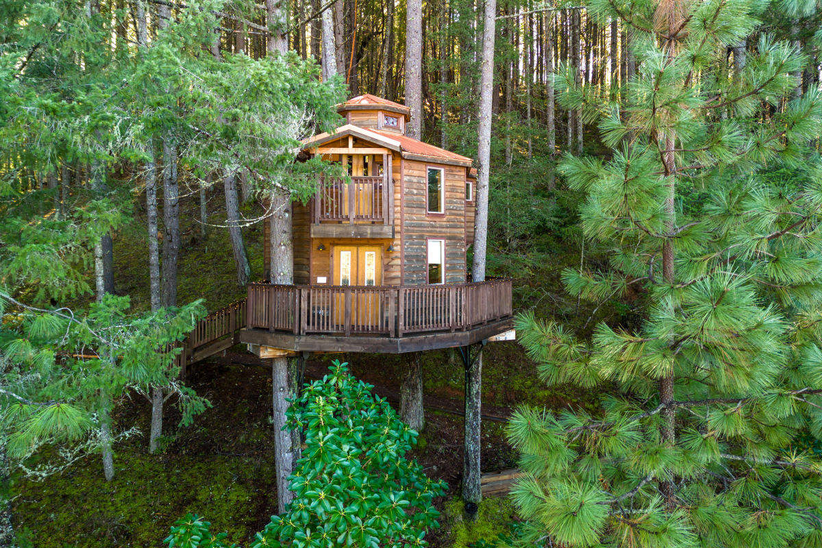 Property Watch: Own a Treehouse Hotel in Southern Oregon - Vimarsana News