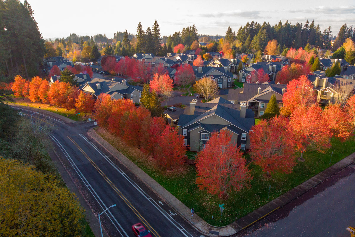 Portland Neighborhoods by the Numbers 2019 The Suburbs Portland Monthly