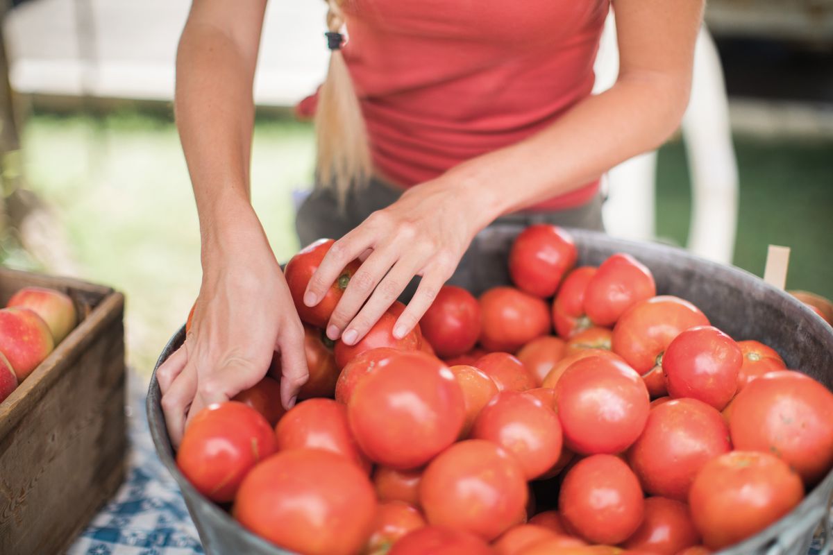 5 Local Farmers Markets You Need To Know About Park City Magazine