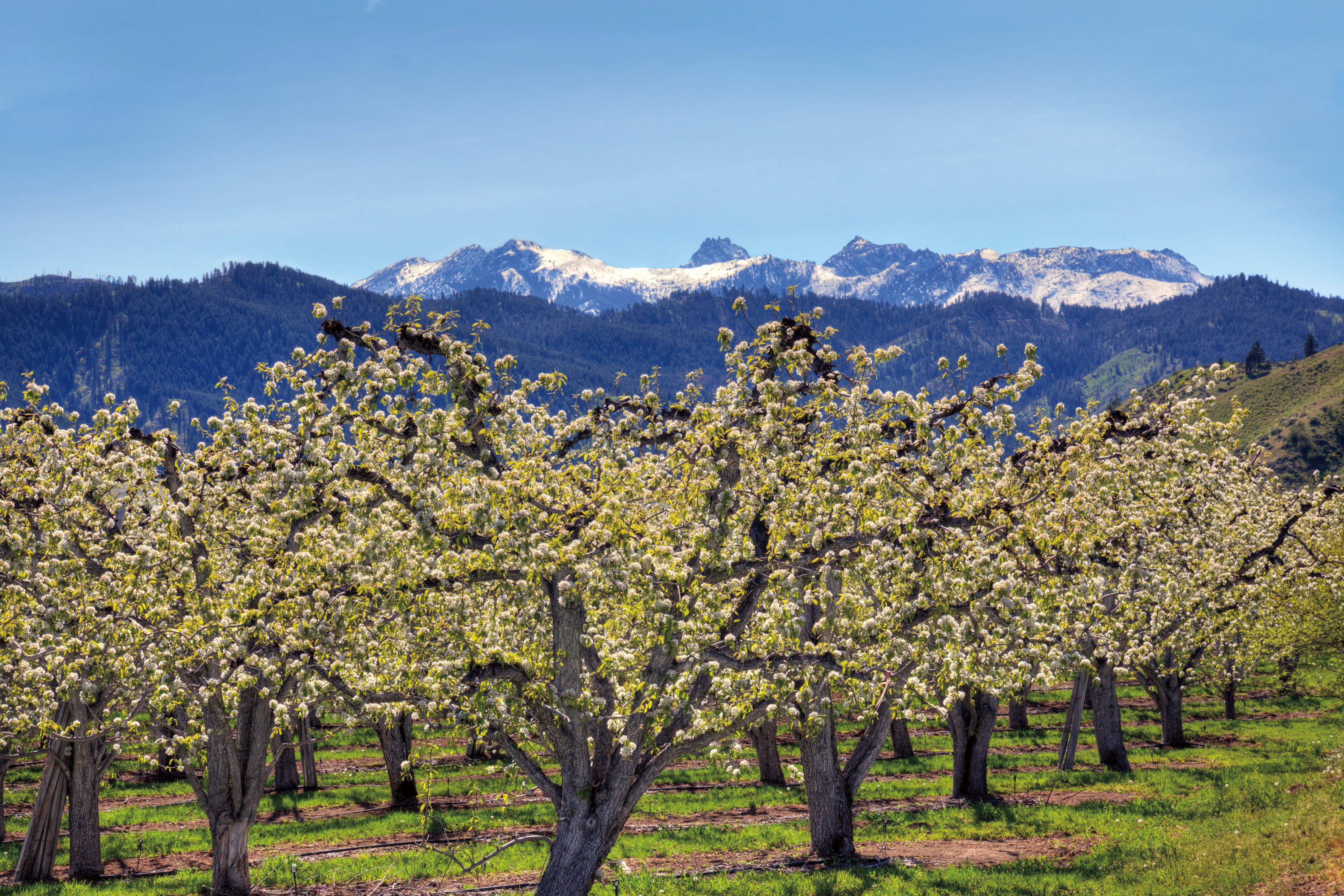 Best Wine Lists in Seattle ǀ Seattle Restaurants Seattle Met