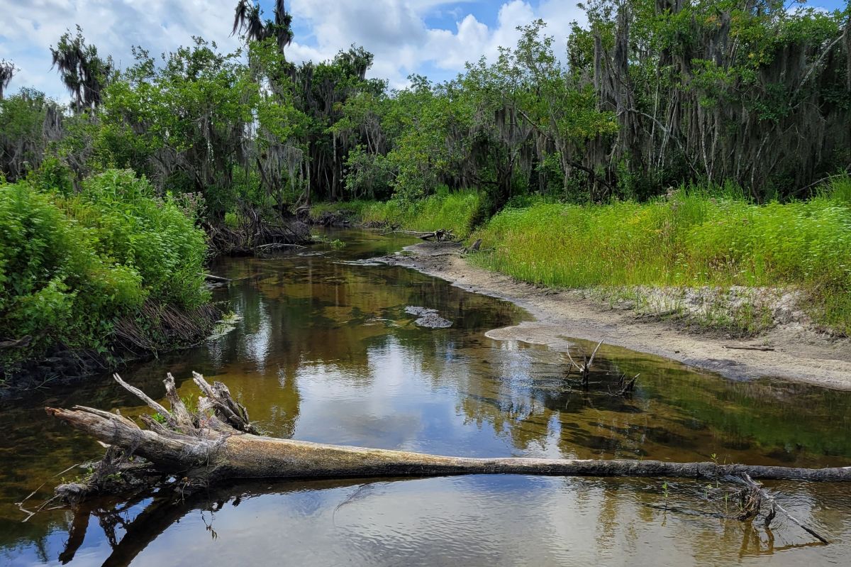Conservation Foundation's Myakka Headwaters Preserve Grows by 69 Acres - Vimarsana News