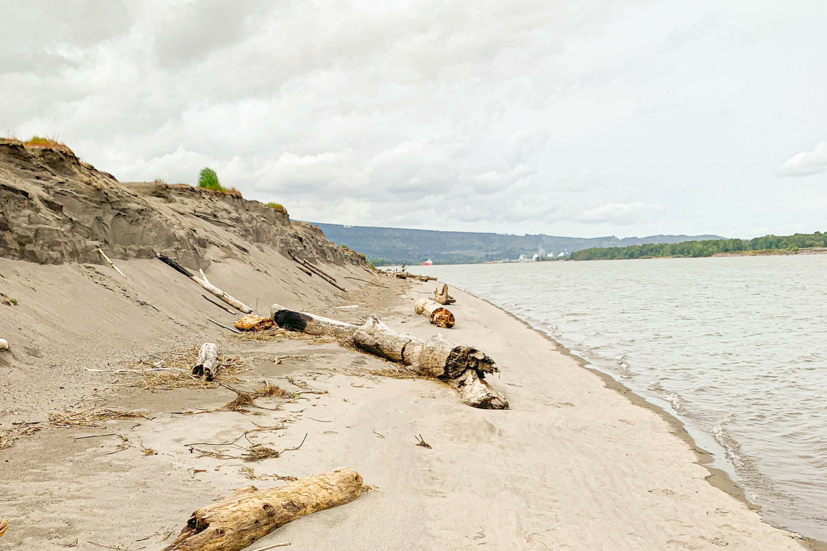 Columbia River Swim Spots and Beaches Under 90 Minutes from Portland - Vimarsana News