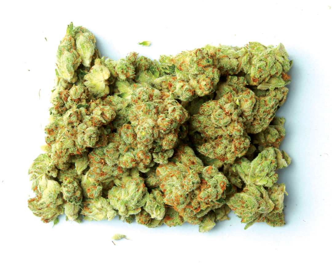 Oregon Cannabis 