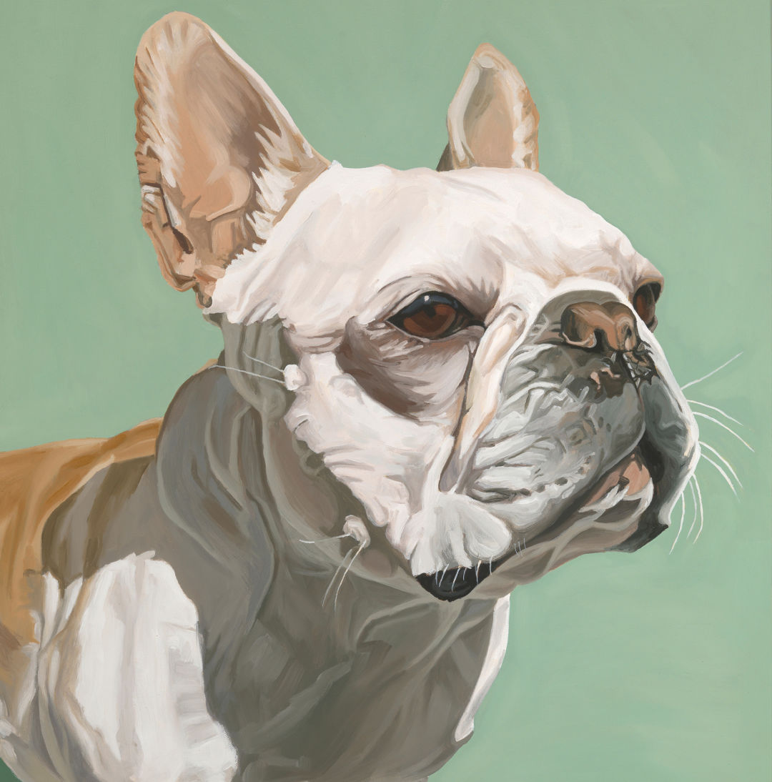 Pomo 0217 pets gear nathan rhodes pet portrait bulldog ilprn4
