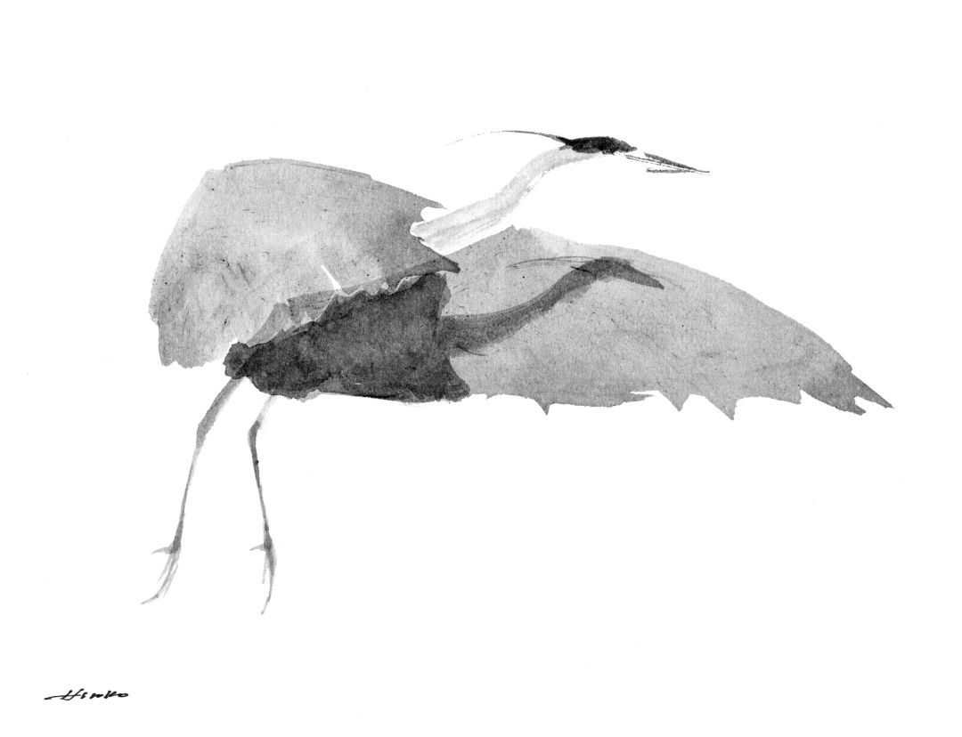 20 Great Blue Heron Hiroko Seki ij1d8l