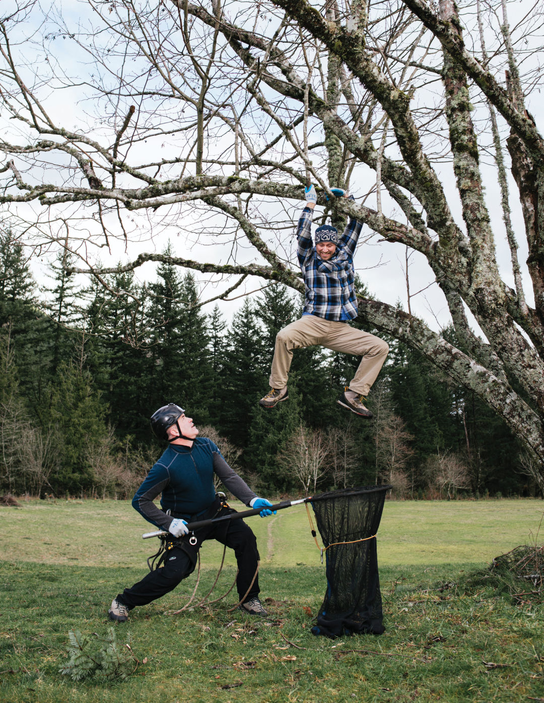 cat in a tree rescue