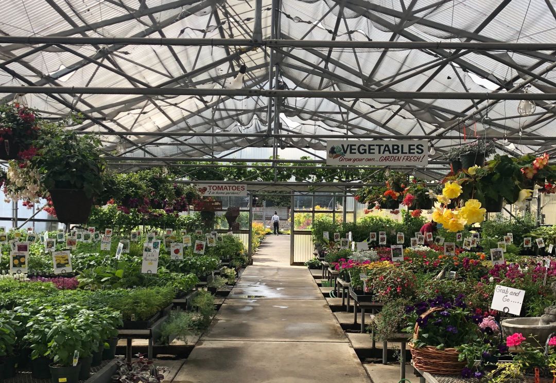 Portland Flower Market Open To The Public Best Flower Site