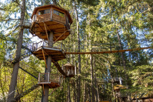 This Ain't Your Typical Treehouse | Portland Monthly This Ain't Your Typical Treehouse | Portland Monthly