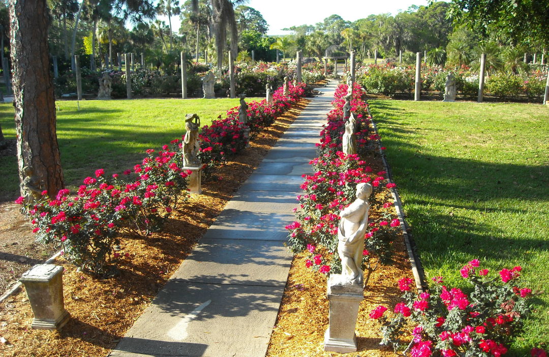 Ringling rose garden walkway hqxviv