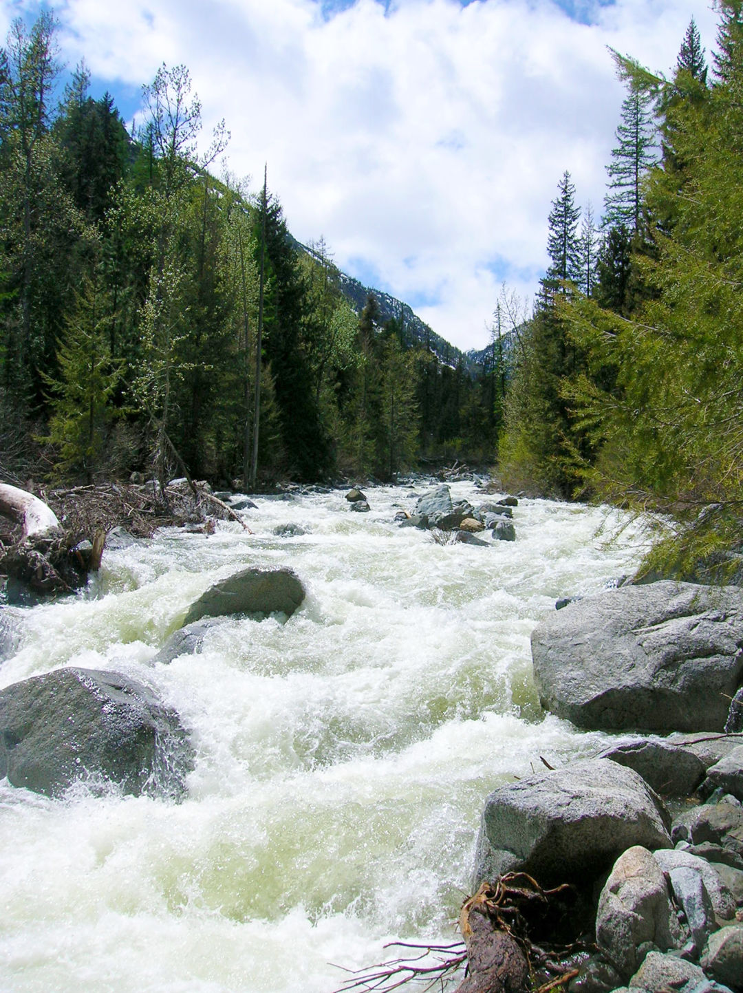 Ingalls creek yibnk3