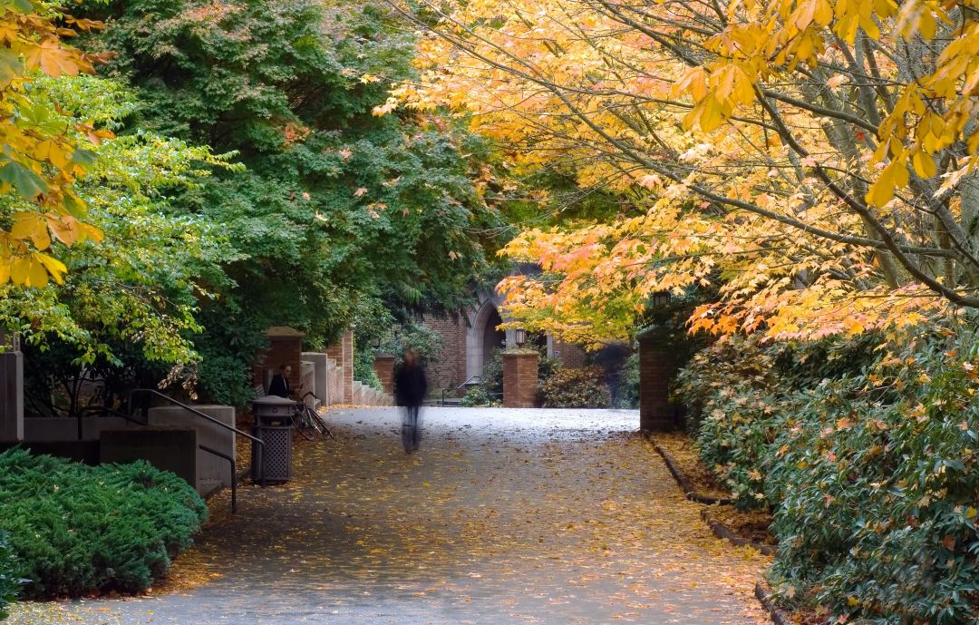 University of Washington in fall
