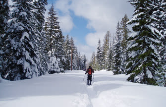 1209 46 skier eniowe