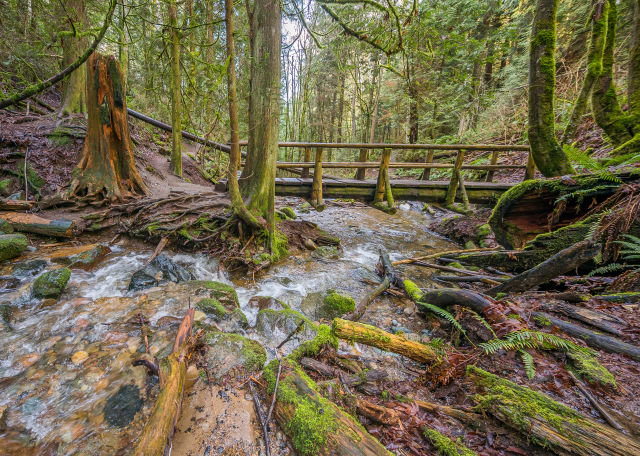 Denny Creek — Washington Trails Association